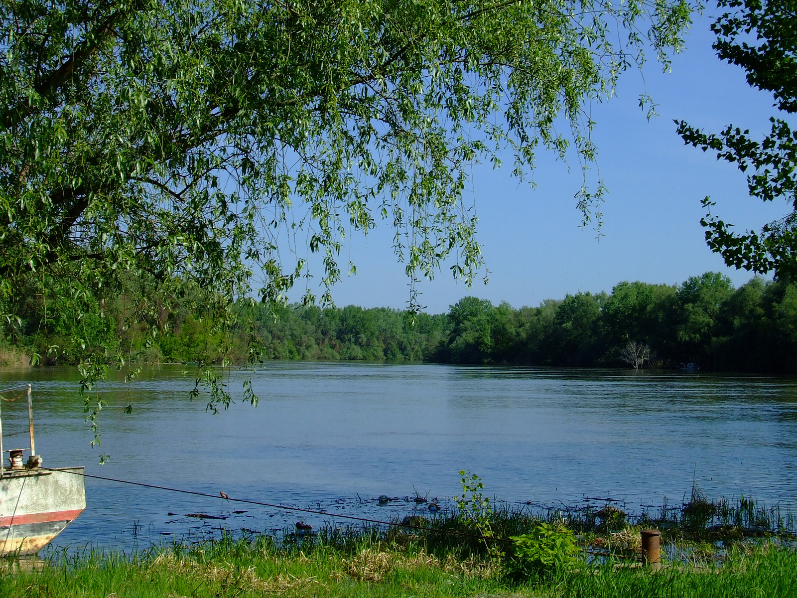 Tiszaörvény,tisza.