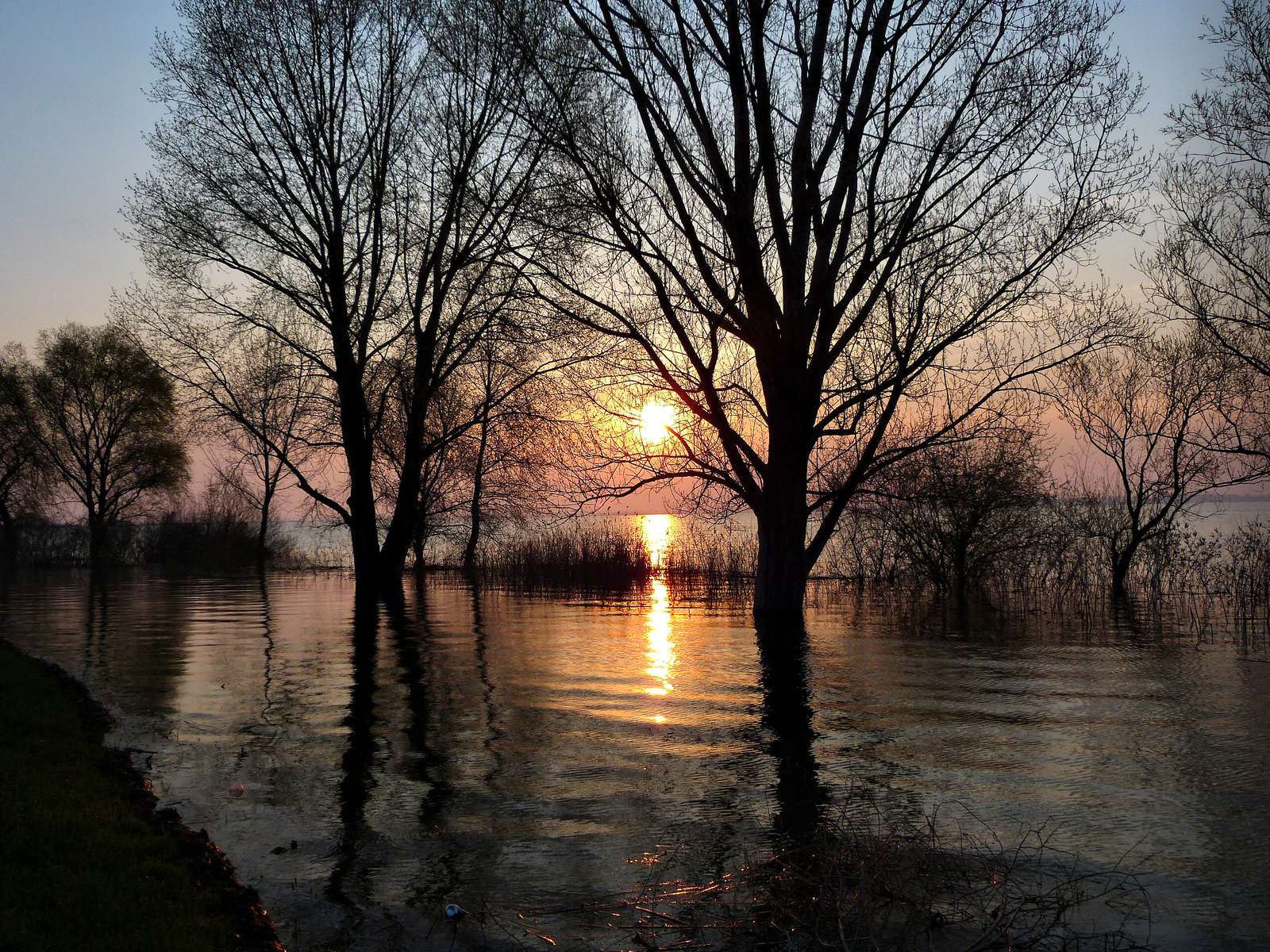 Tisza-Tó Sarud