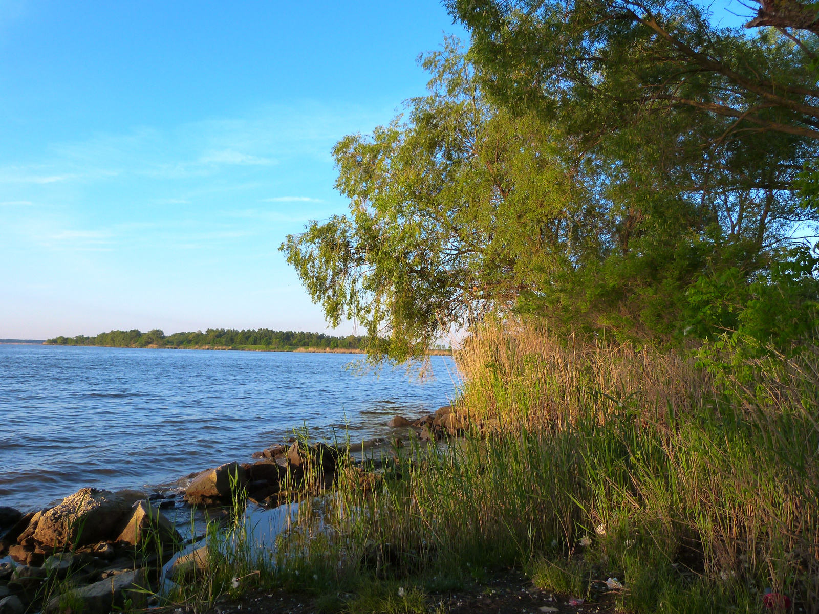 Tisza-Tó Sarud