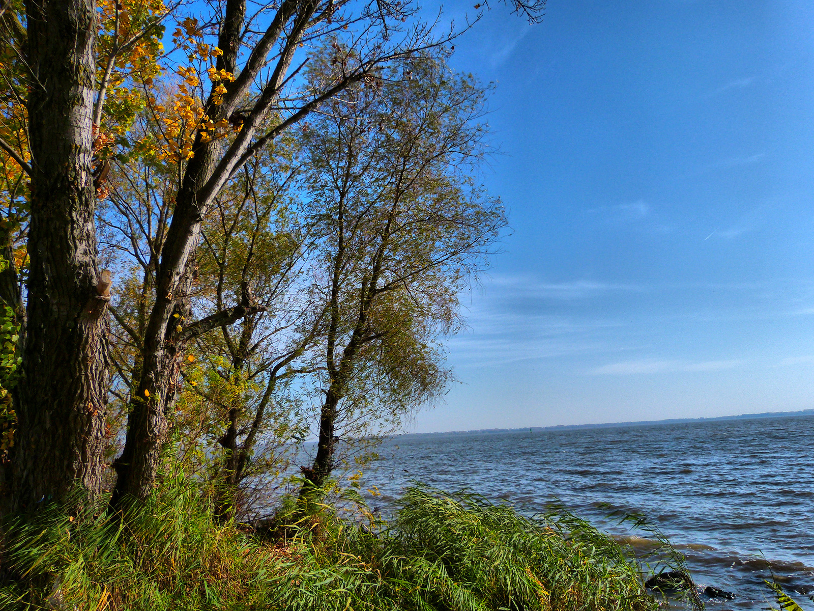 Ősz, Tisza-tó Sarud.