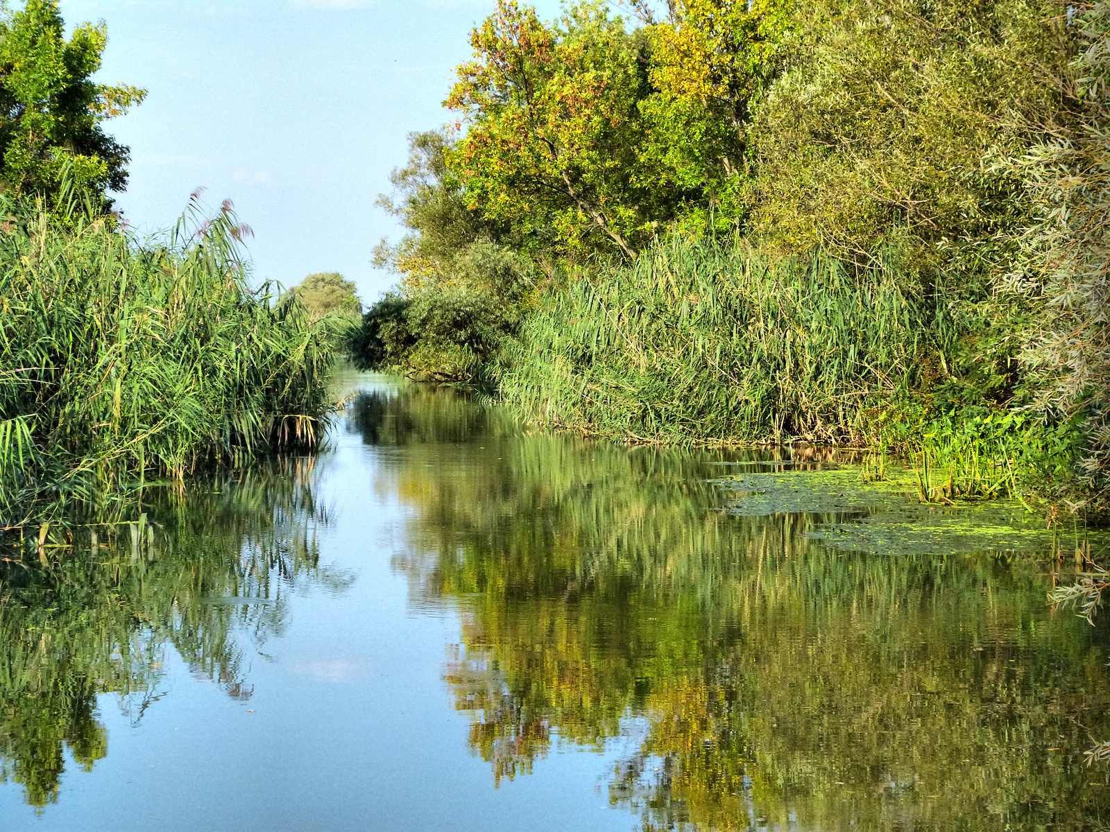 Tisza-tó, Tiszafüred és környéke!