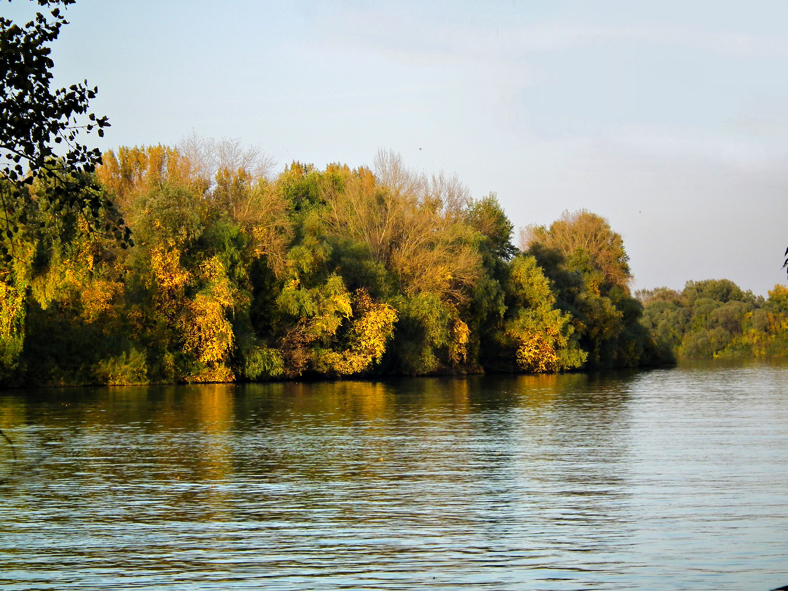 Tisza. Tiszafüred