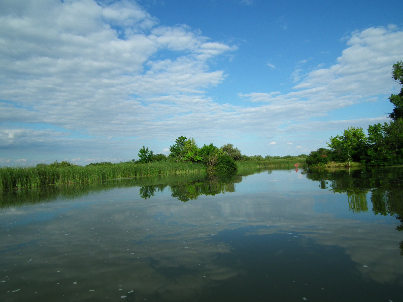 Tisza-tó. Poroszlói öböl.