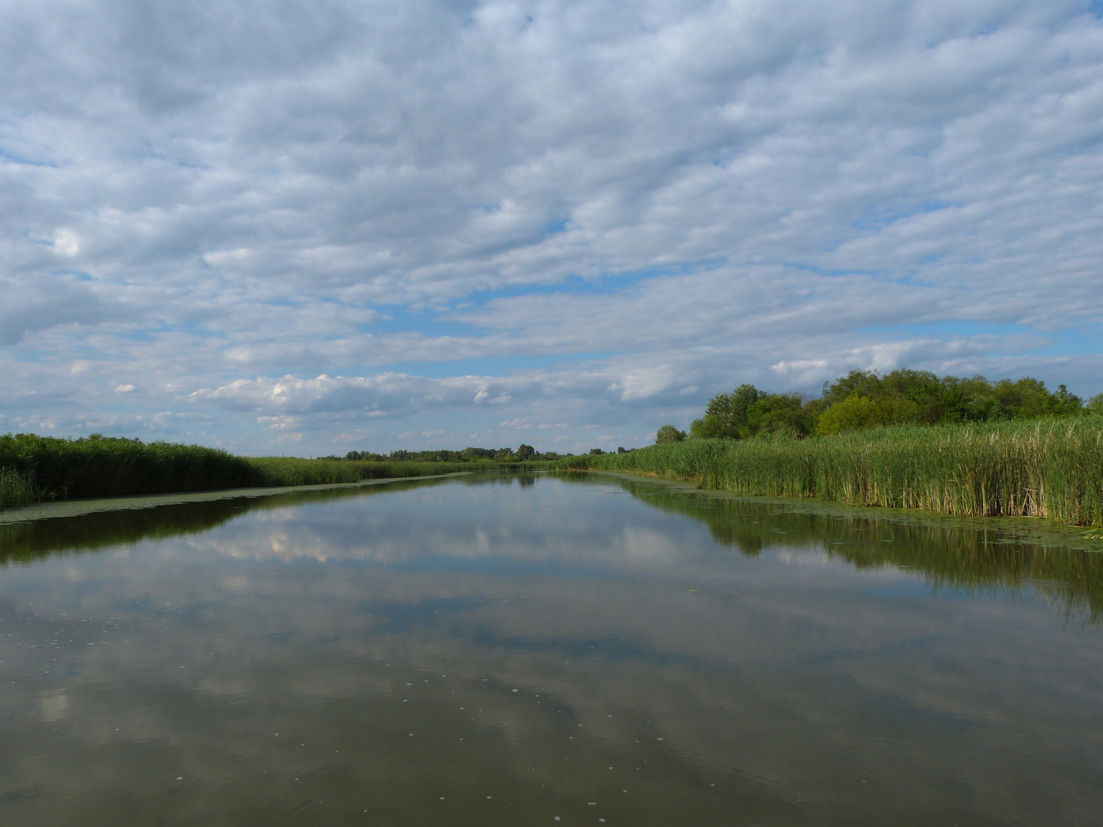 Tisza-tó. Poroszlói öböl.