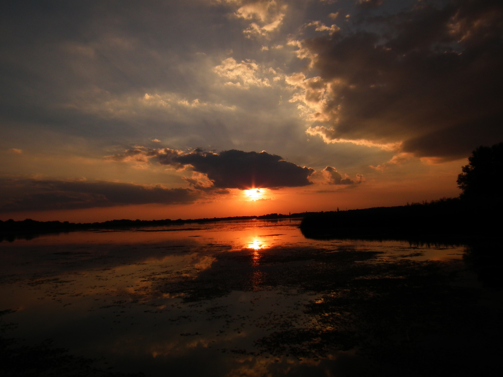 Tisza-tó. Napkelte.