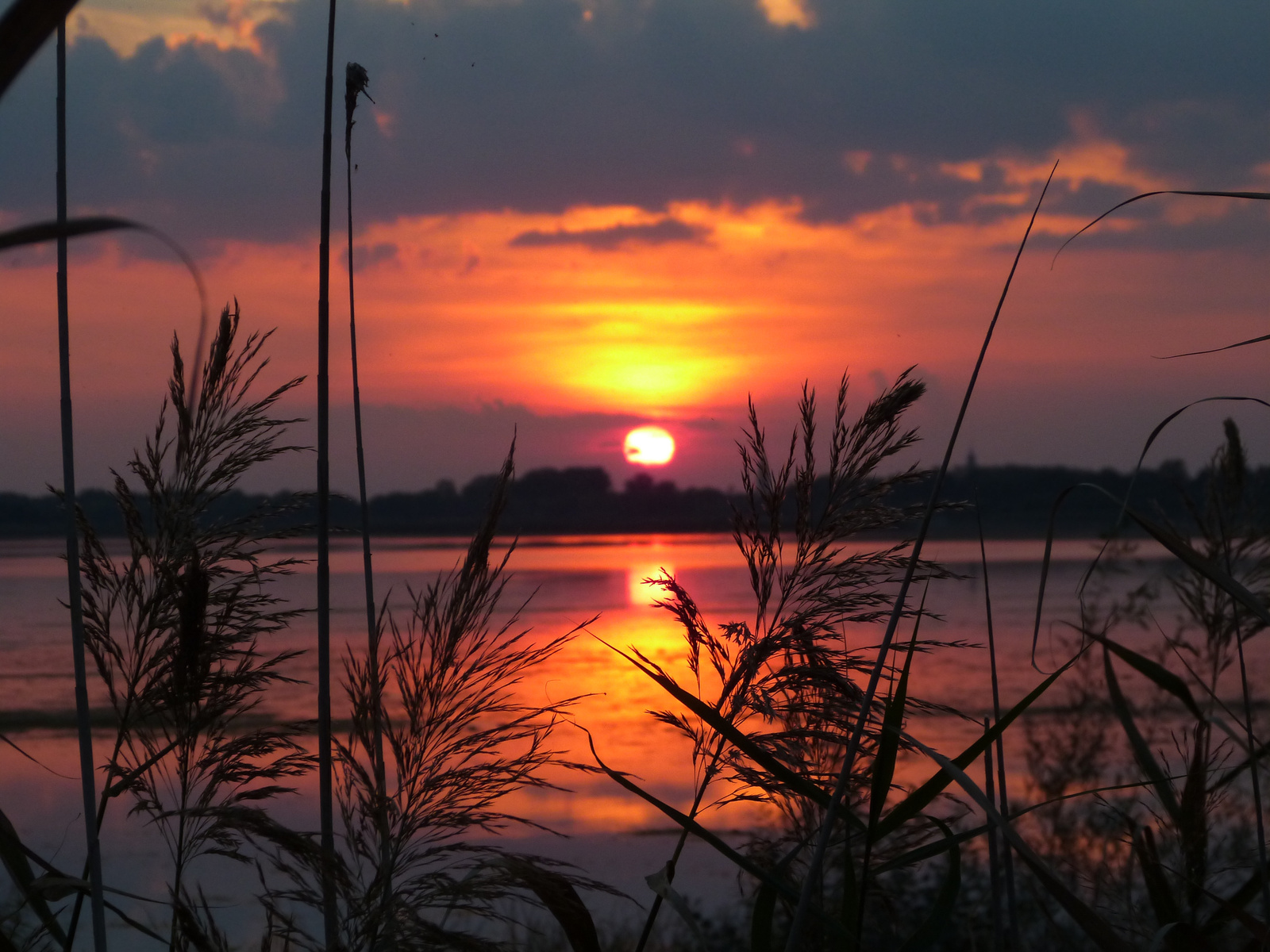 Tisza-tó. Napkelte.