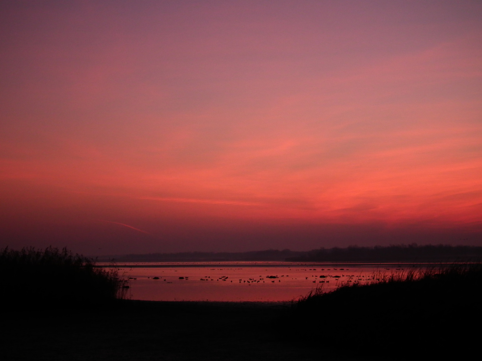 Tisza-tó. Napkelte.