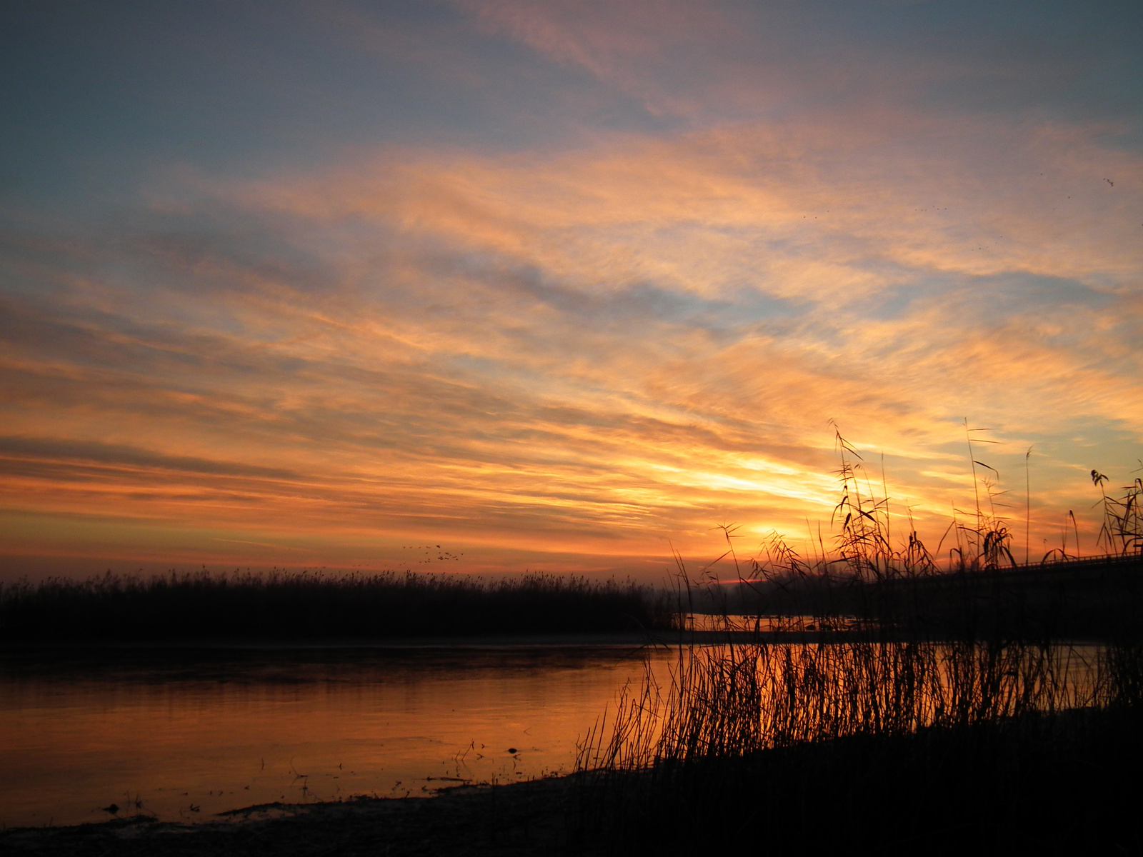 Tisza-tó. Napkelte.