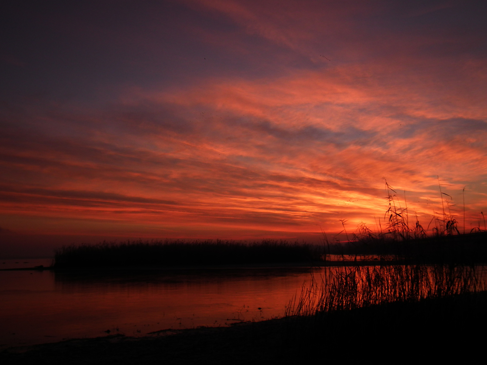Tisza-tó. Napkelte.