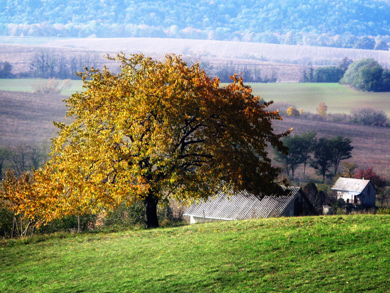 111105 OKT Vállus-Tapolca 4802