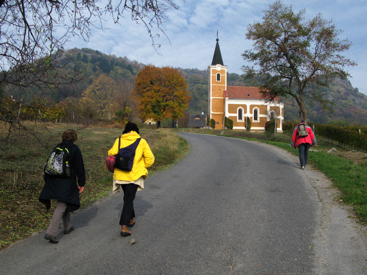 111106 OKT Szigliget-Tapolca 4908