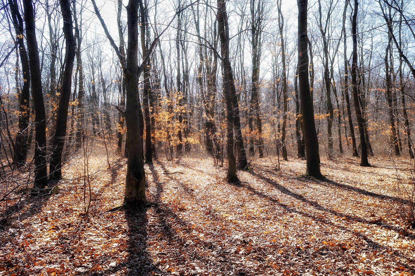 120315 NEX5N OKT Gérce-Sárvár 8181