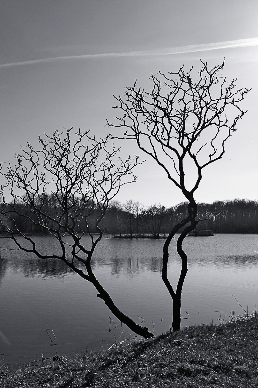 120315 NEX5N OKT Gérce-Sárvár 8228