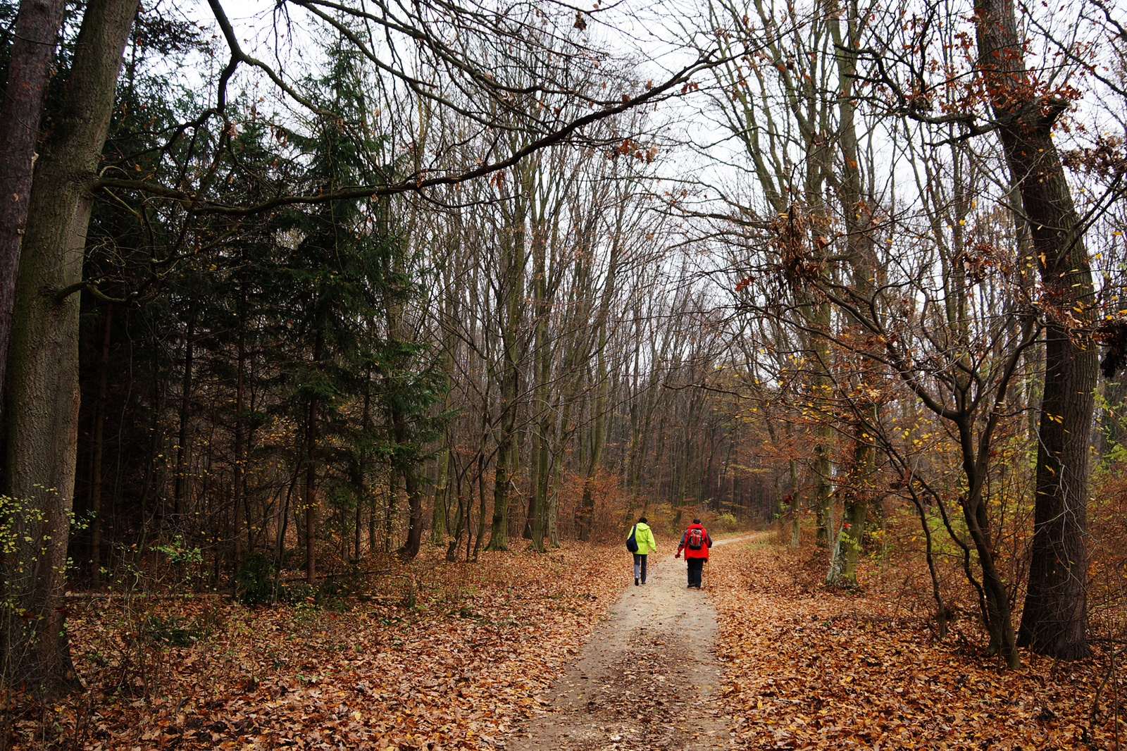 1221118 NEX5N OKT Káld-Szajki tavak 0873