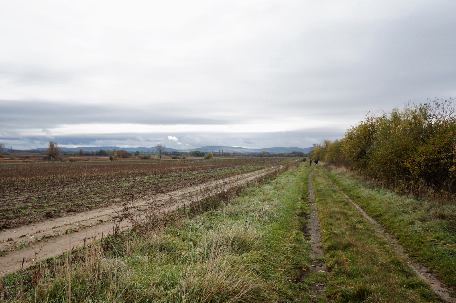 131110 NEX5N OKT Ötvös-Sümeg 5134