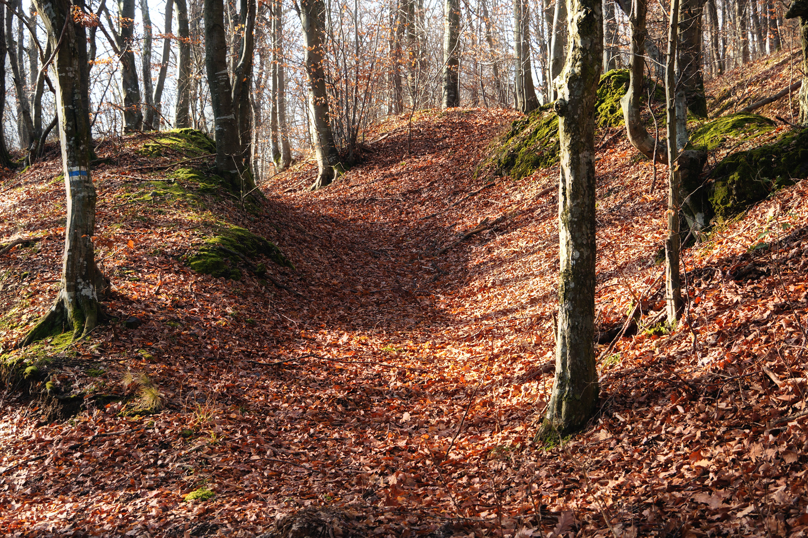 131229 NEX5N OKT Bélapátfalva-Szarvaskő 5479