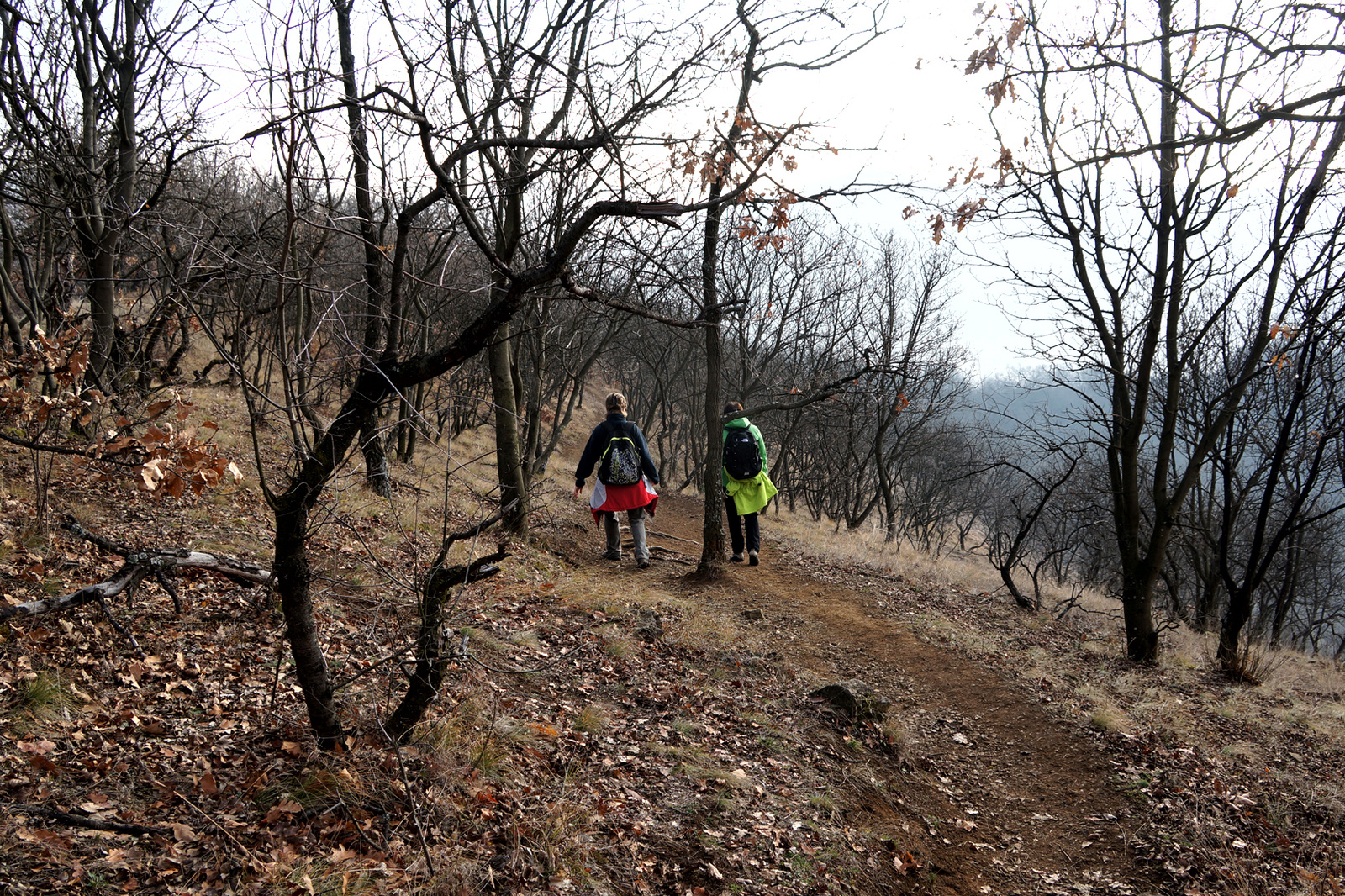 131229 NEX5N OKT Bélapátfalva-Szarvaskő 5521