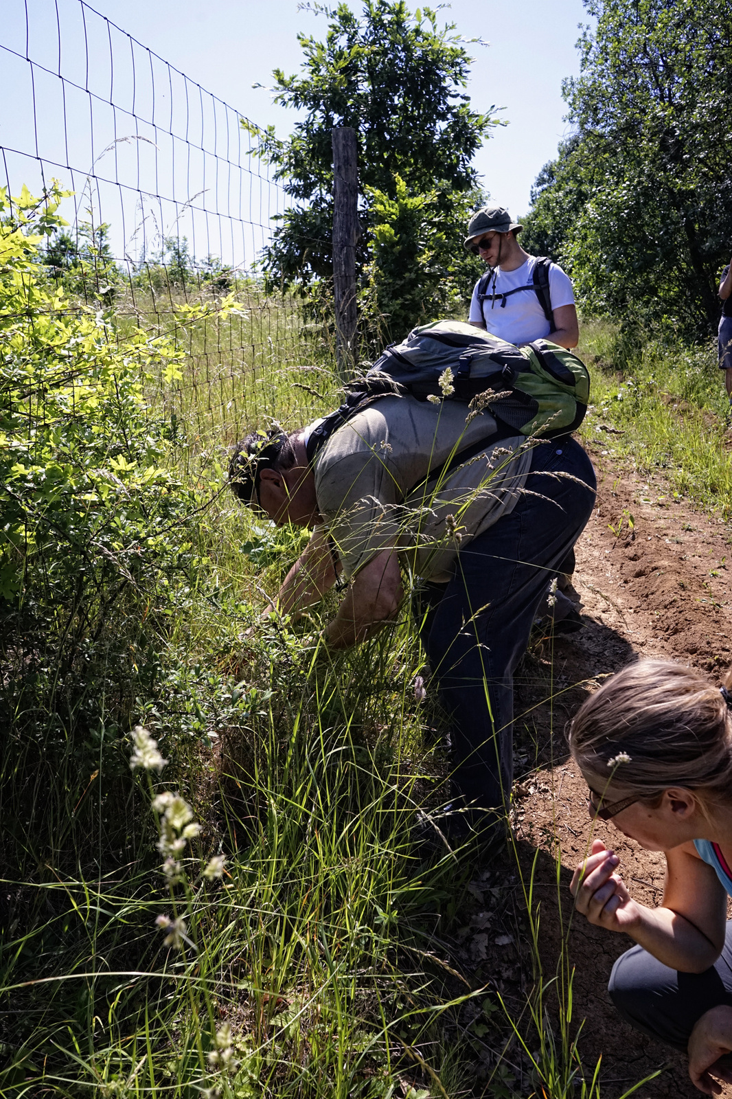 150606 A7 OKT Felsővadász-Rakacaszend 2281