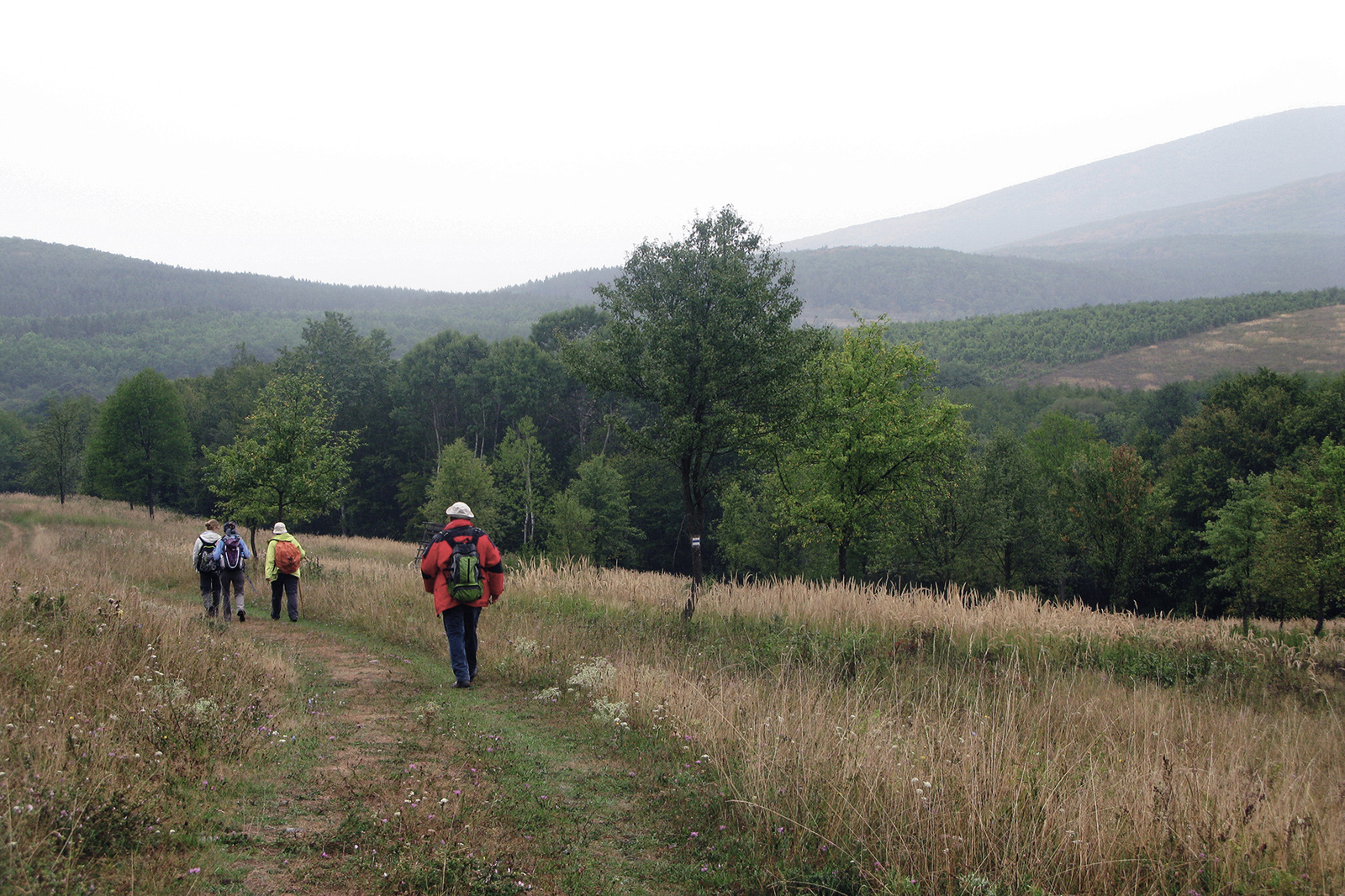 150905 OKT Regéc-Boldogkőváralja 7653