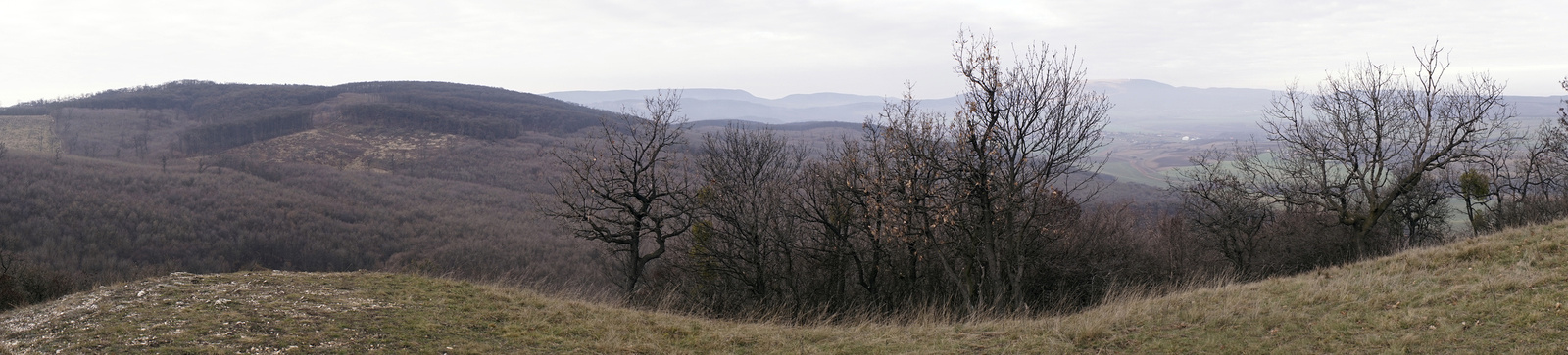 151229 A7 OKT Szárliget-Koldusszállás DSC4788