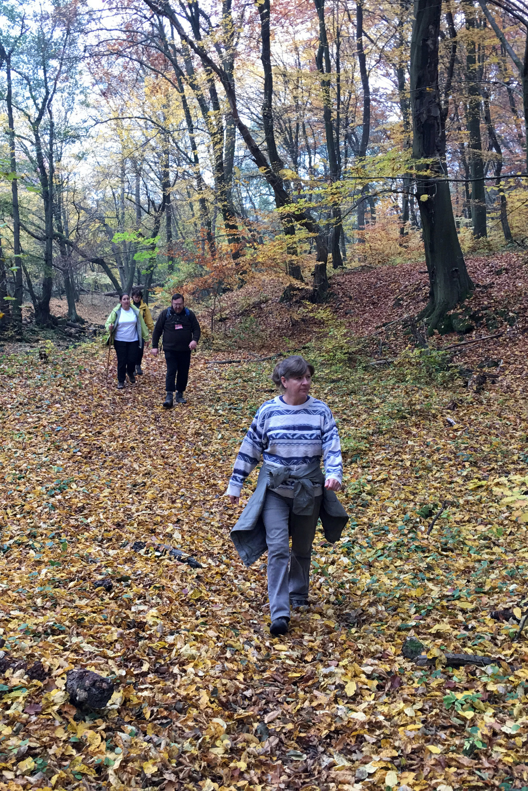 171021 iP6s OKT Regéc-Boldogkőváralja 7529