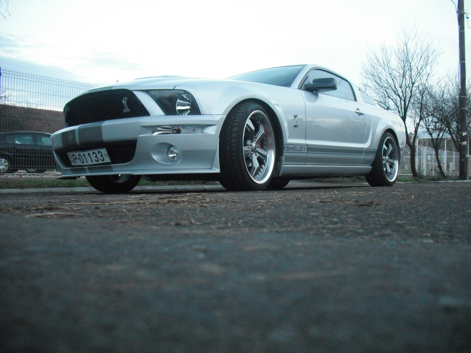 Mustang Shelby