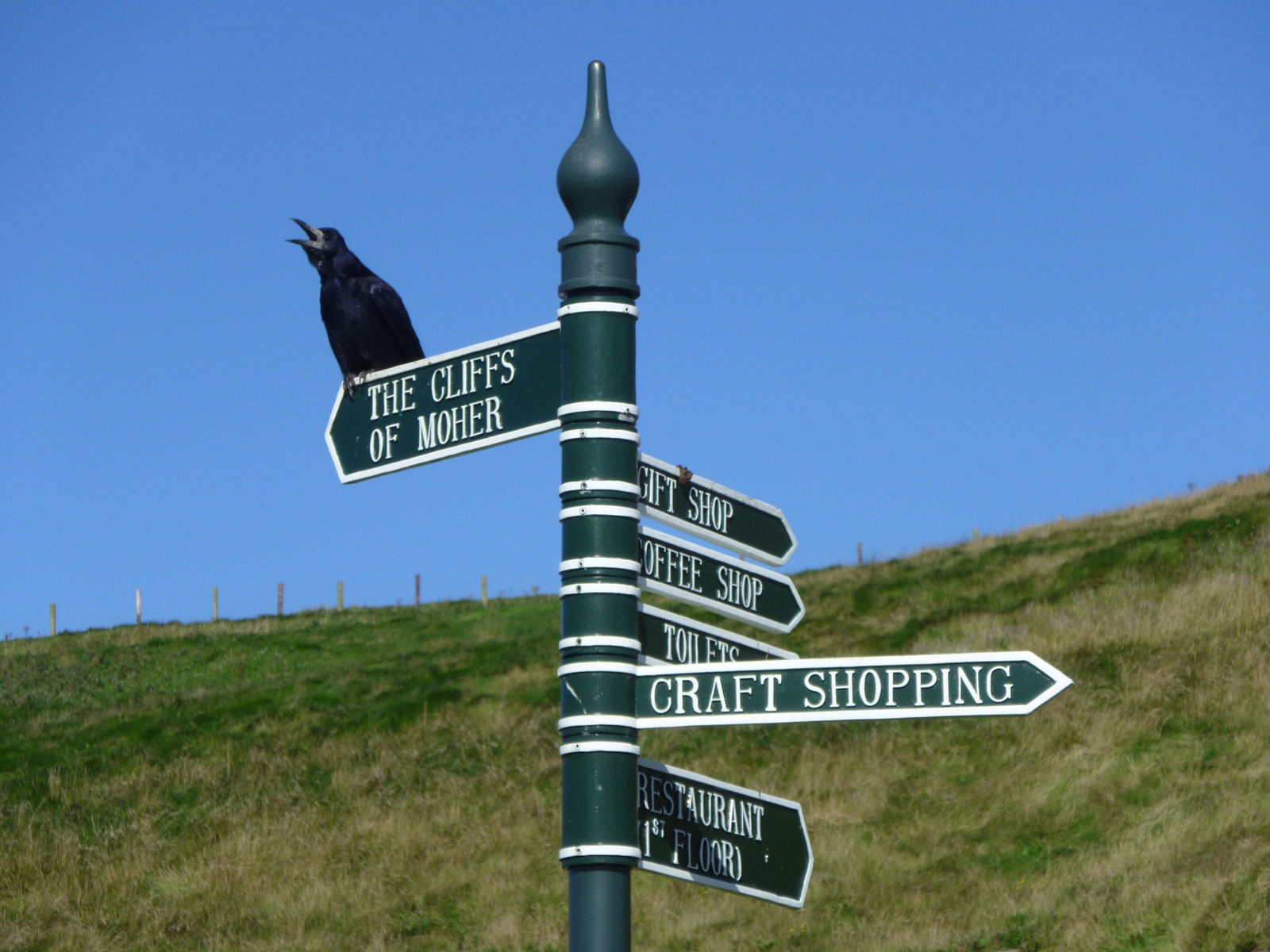 Cliffs of Moher