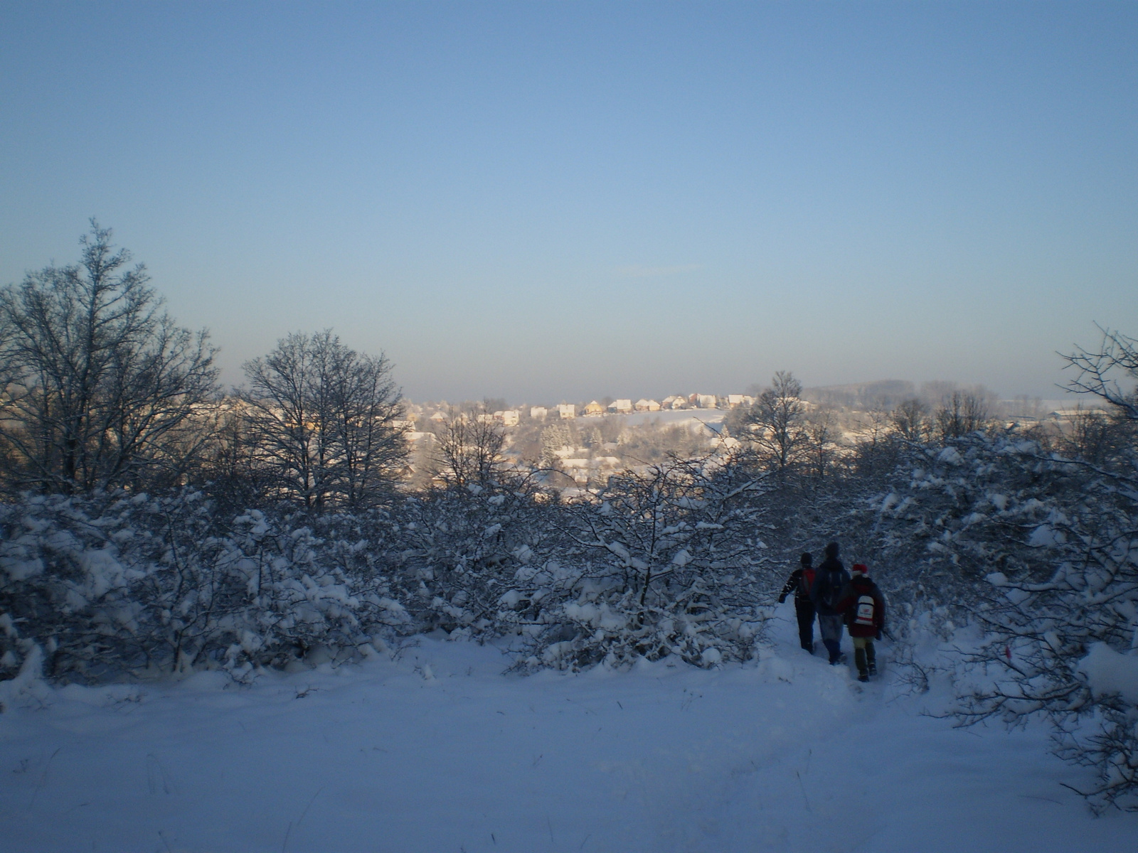 201011204Távolban  Borzavár