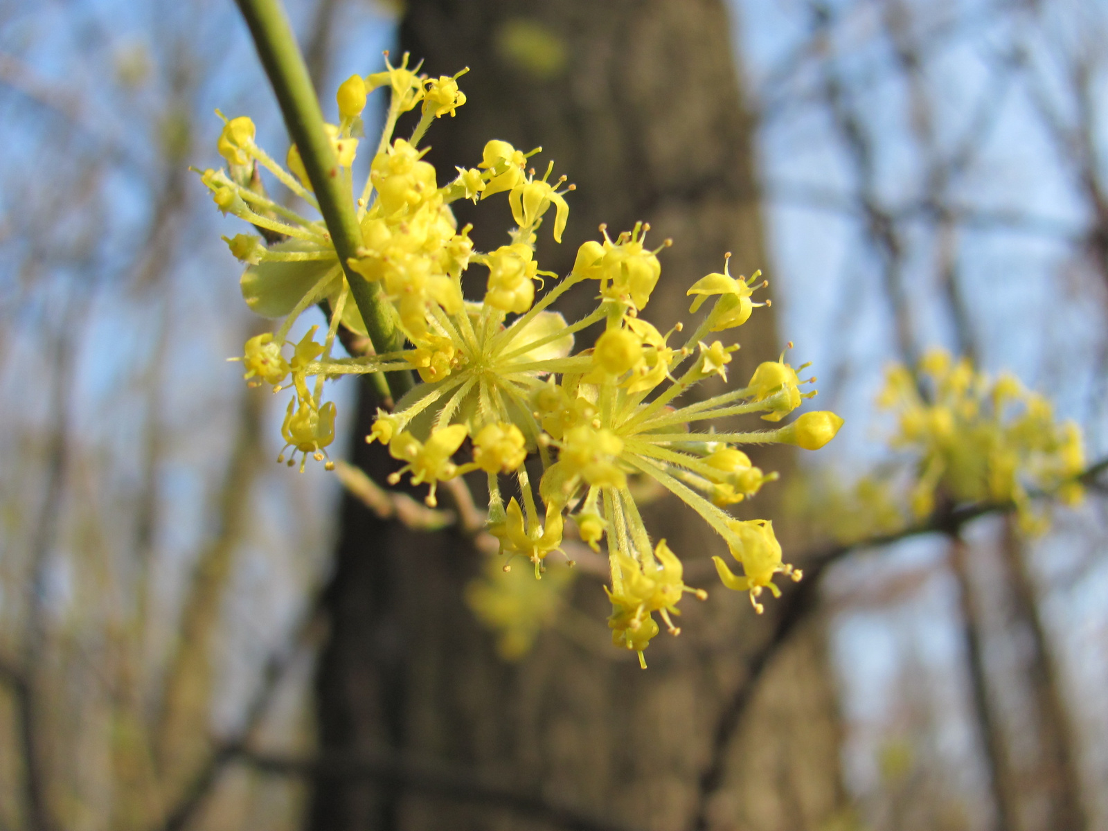 2011.03.22.Ellenőrzés 026