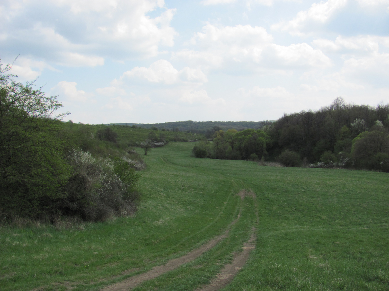 2011.04.17.Magyaregregy-Komló 162