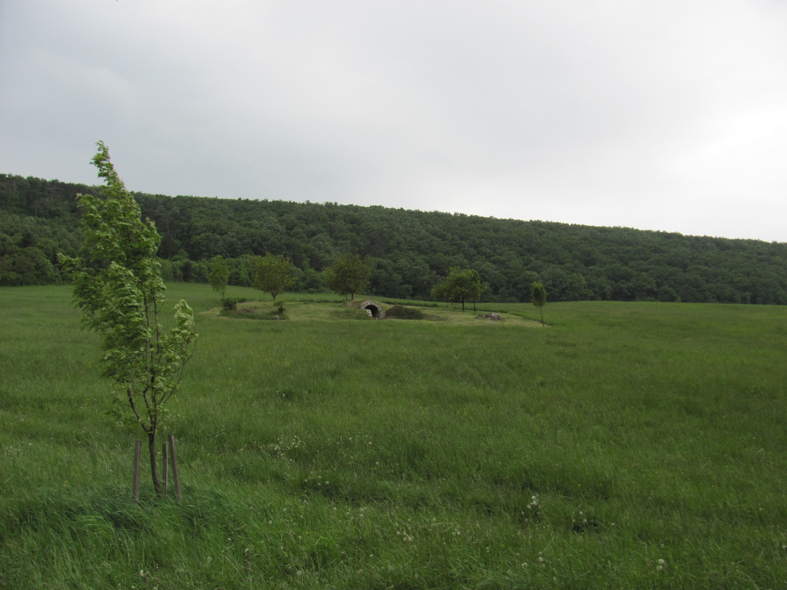 2011.05.08.Óbudavár teljesítménytúra 022