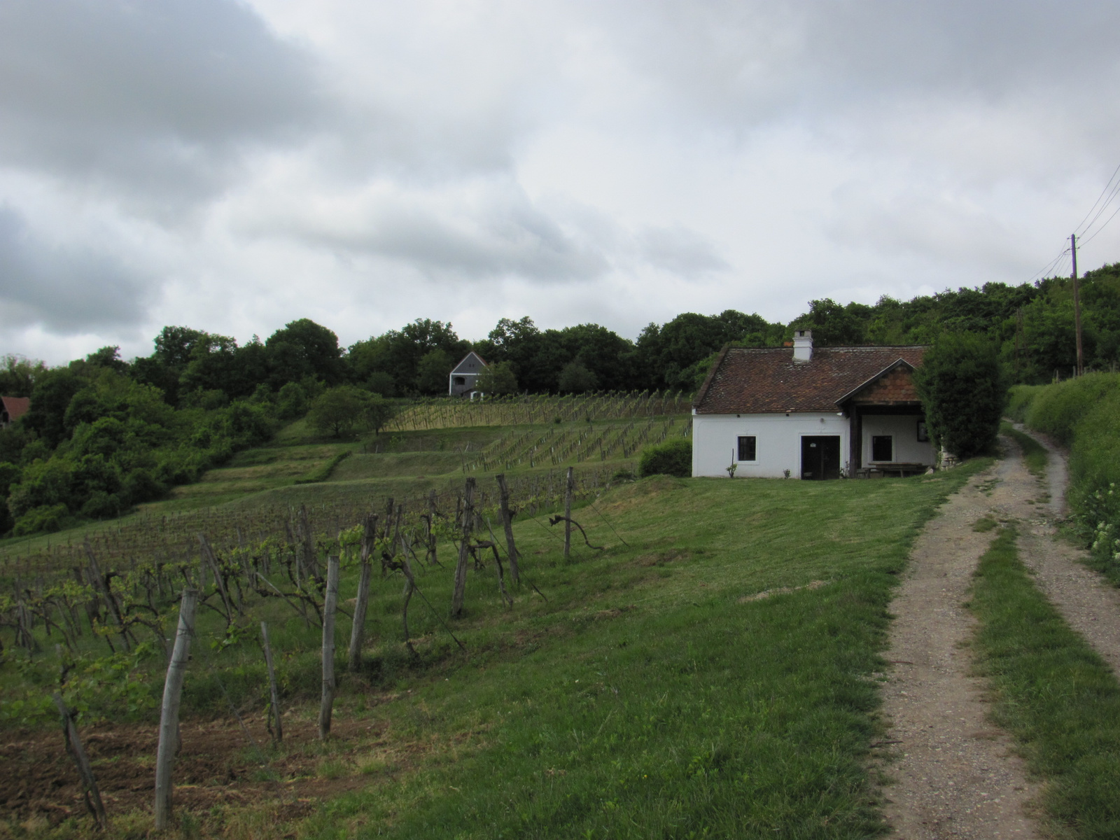 2011.05.08.Óbudavár teljesítménytúra 095