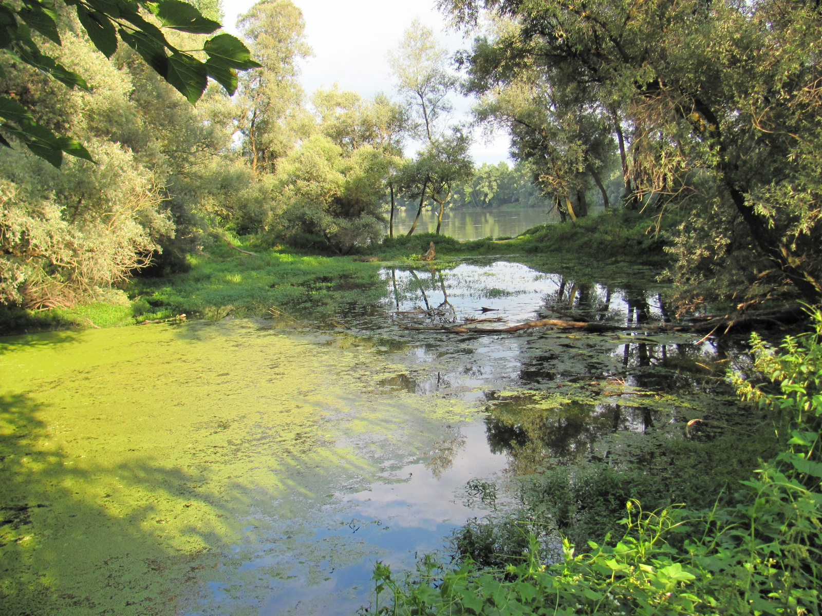 2011.07.31.Bicaj Dráváig 049