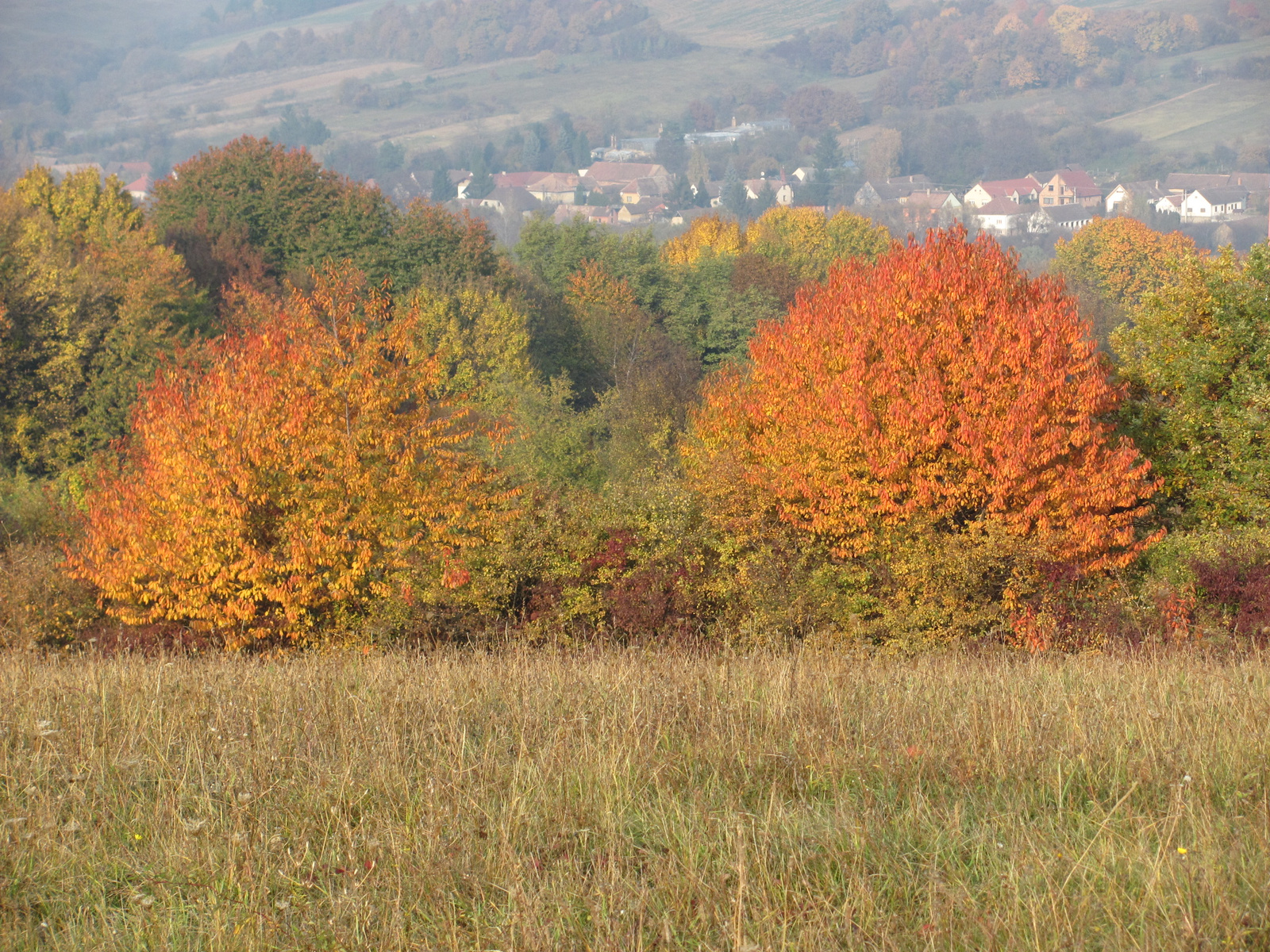 2011.11.01.Abaligeti kör 086