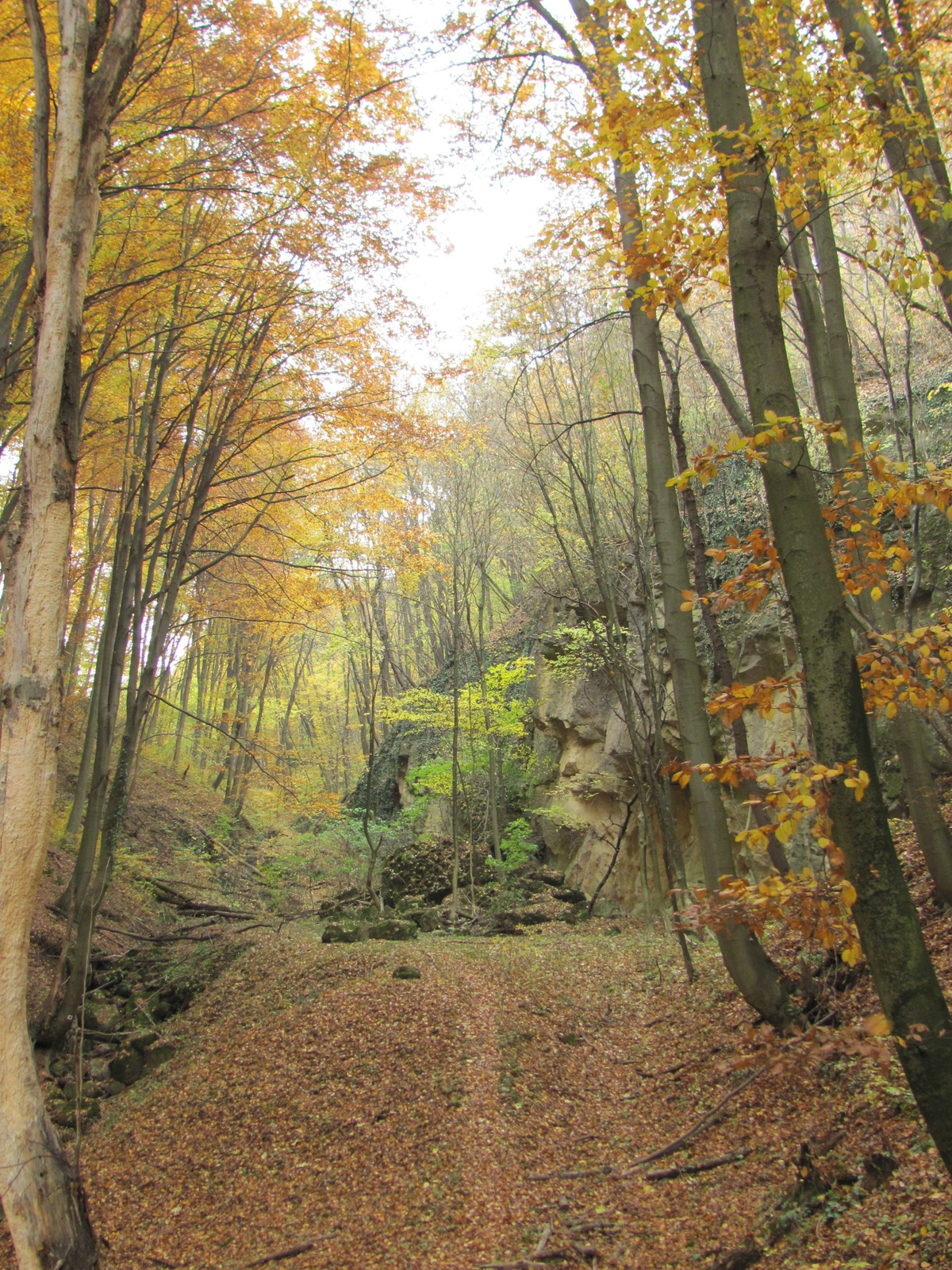 2011.11.06.Orfű-Pécs 043