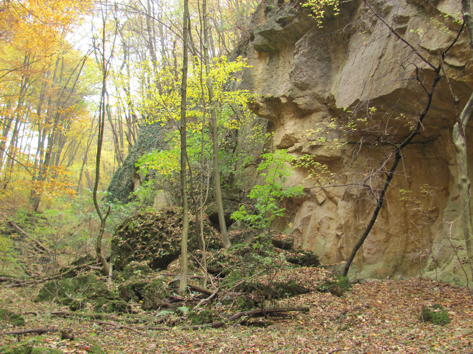 2011.11.06.Orfű-Pécs 047