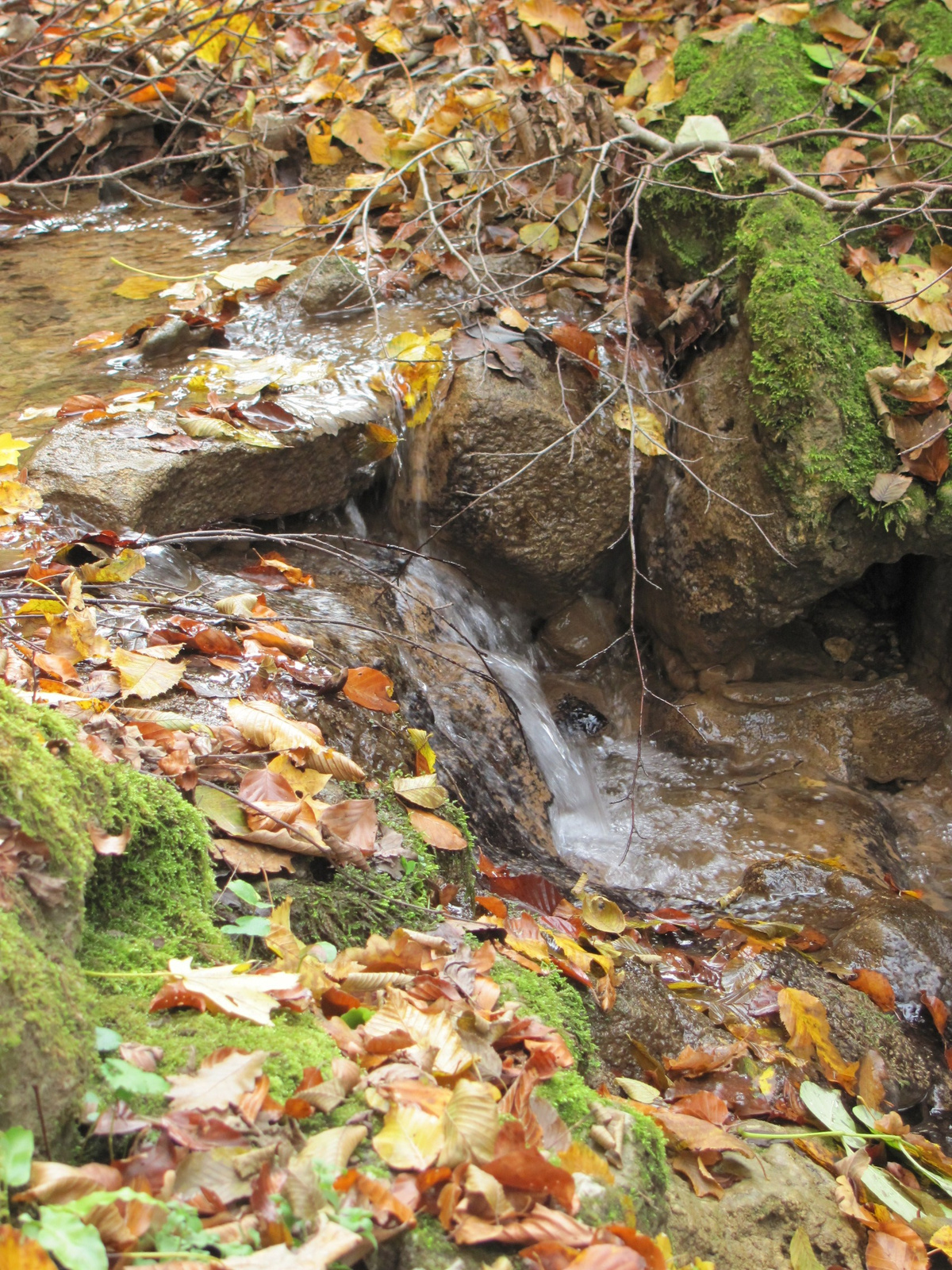 2011.11.06.Orfű-Pécs 060