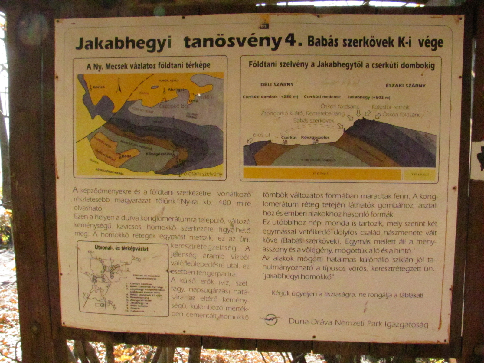 2011.11.13.Fel a Jakab hegyre 075