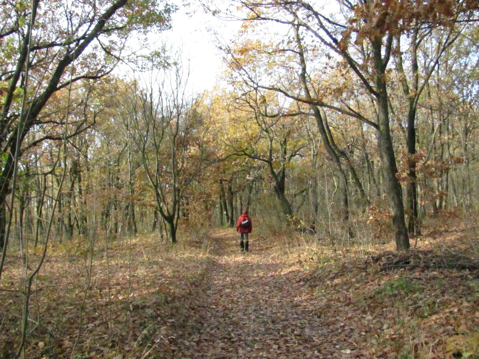 2011.12.03.Égervölgy 20 TT bejárás 019