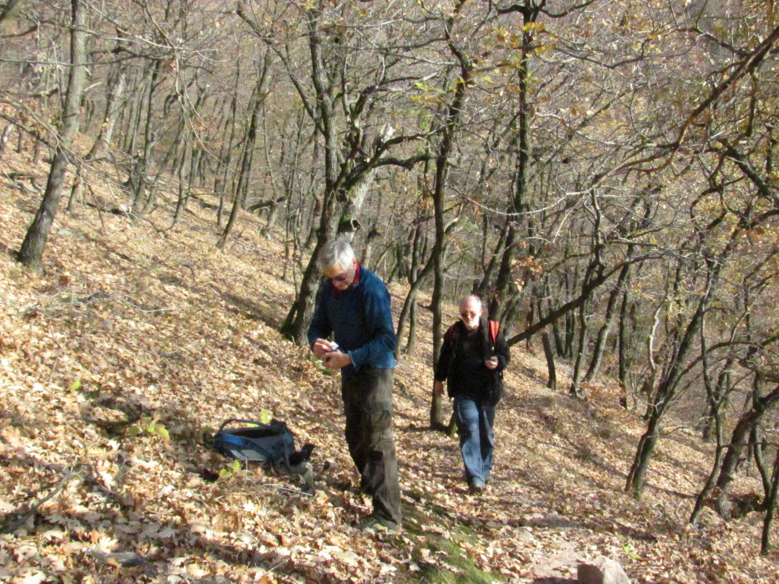 2011.12.03.Égervölgy 20 TT bejárás 036