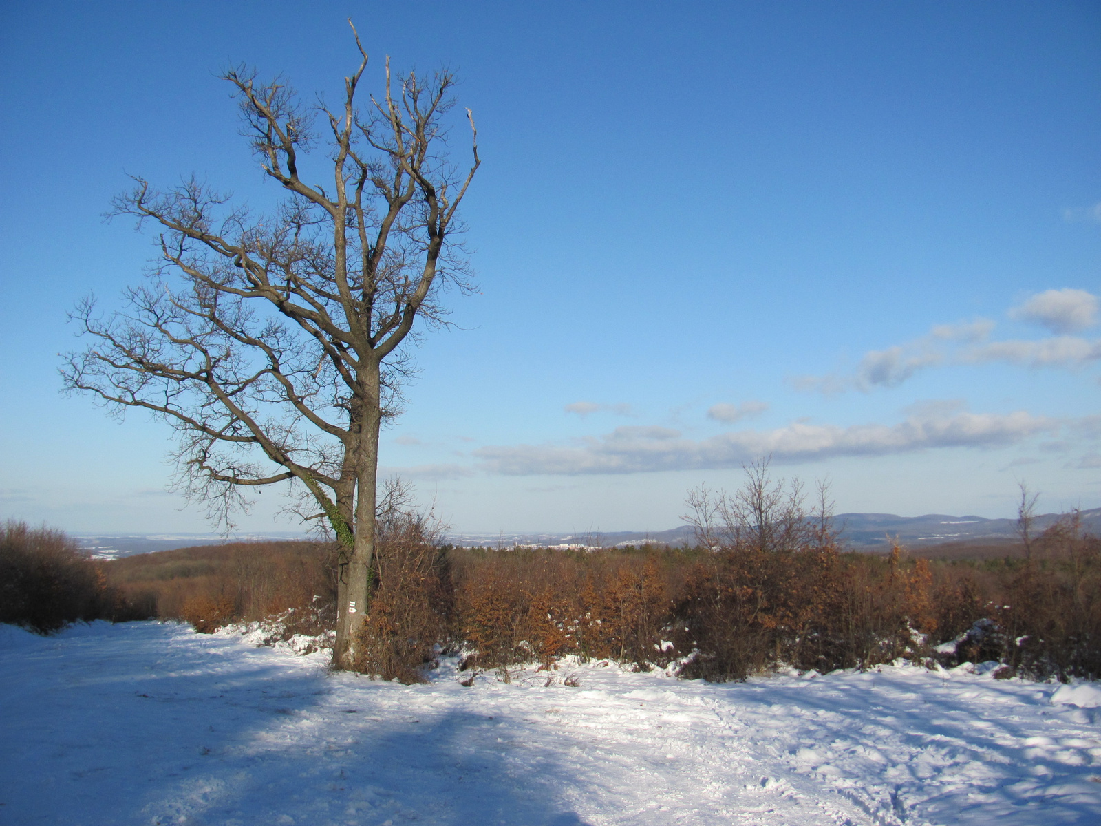 2011.12.25.Geokarácsonyfa túra 064