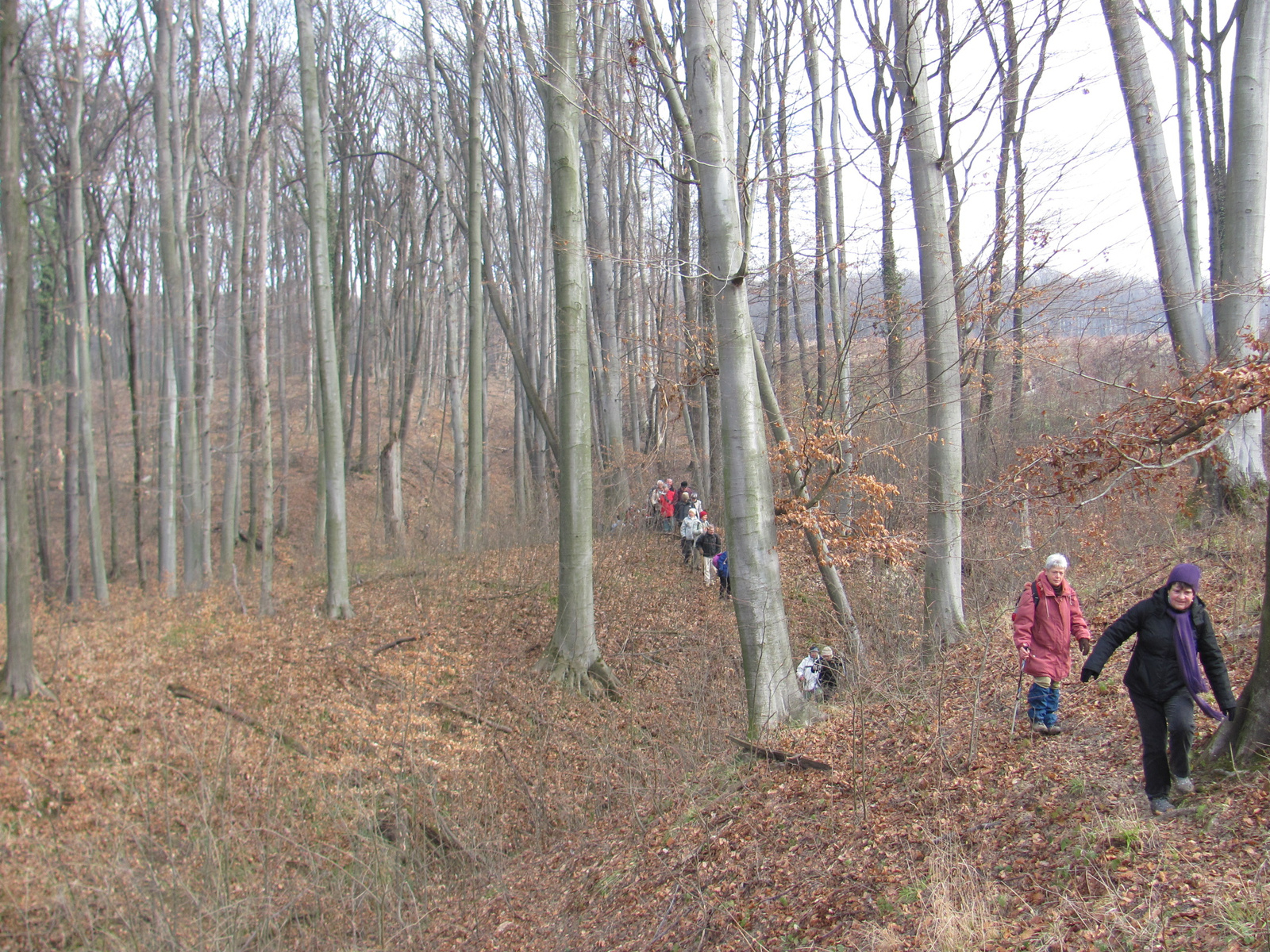 2012.01.28.Magyaregregy-Kisbattyán 039