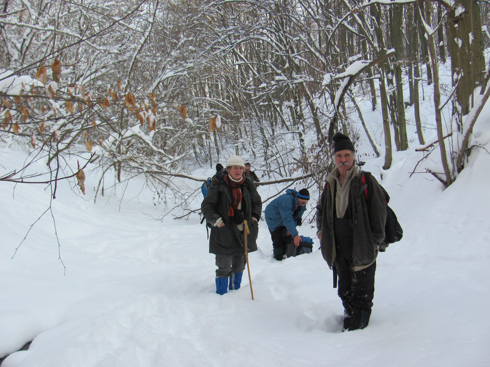 2012.02.05.Vékény-Hosszúhetény 016