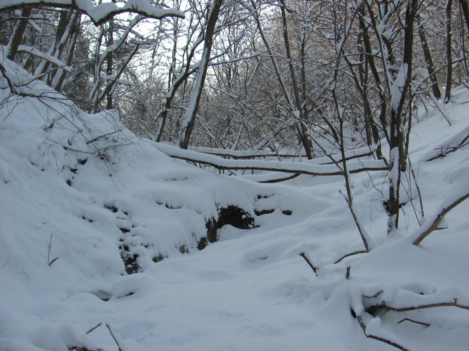 2012.02.05.Vékény-Hosszúhetény 018