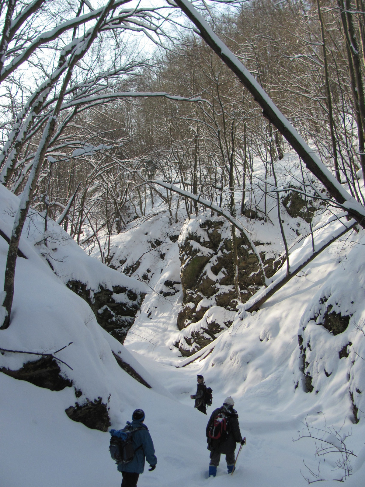 2012.02.05.Vékény-Hosszúhetény 030