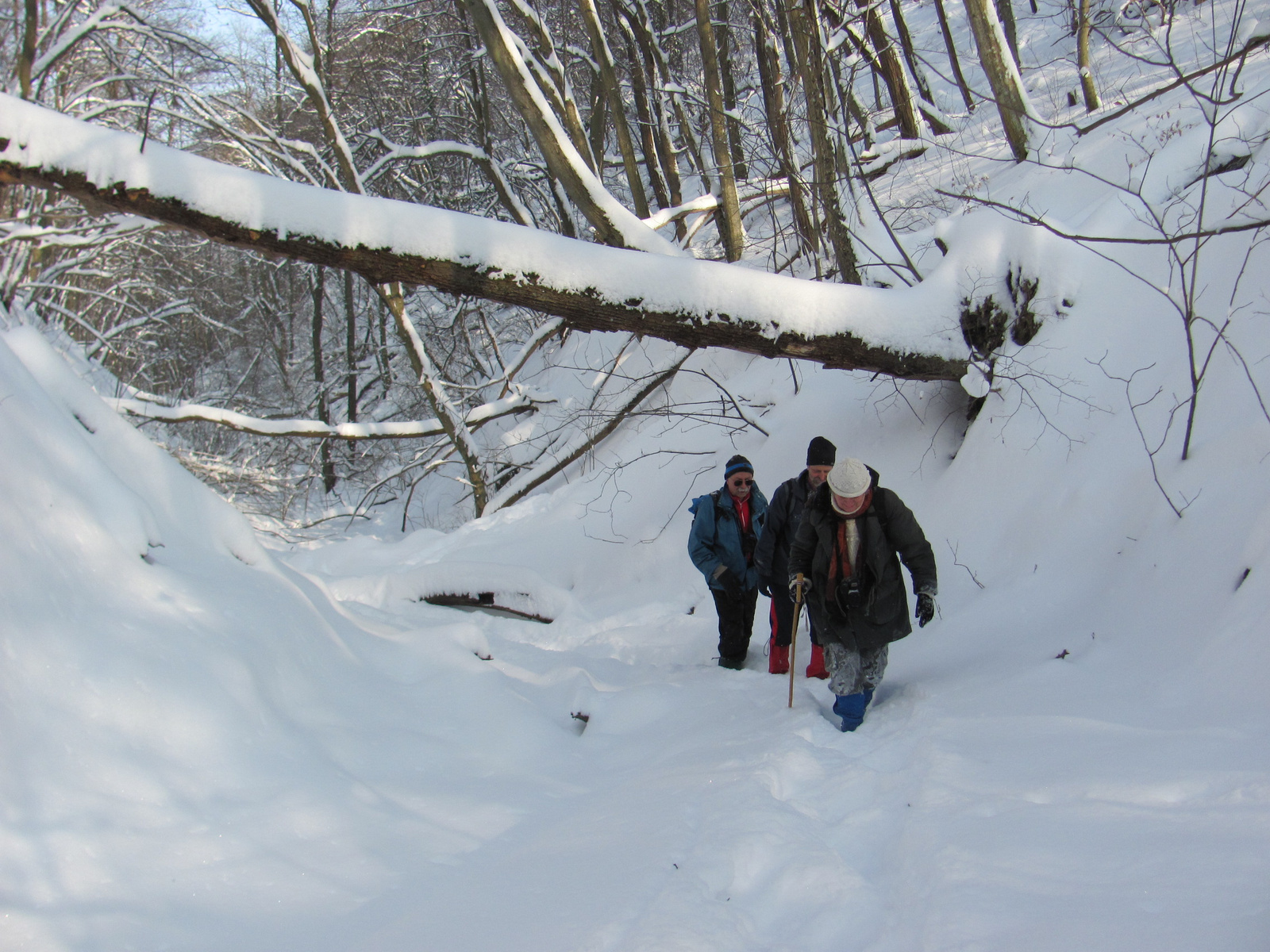 2012.02.05.Vékény-Hosszúhetény 049