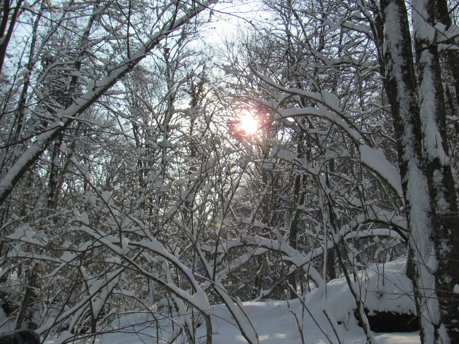 2012.02.05.Vékény-Hosszúhetény 051