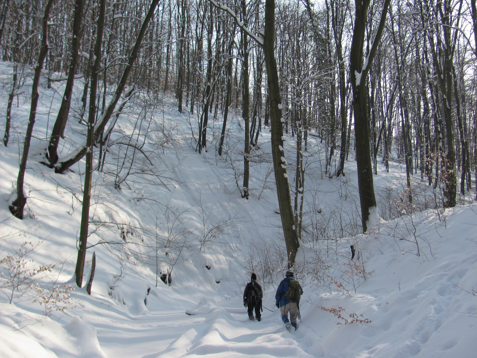 2012.02.05.Vékény-Hosszúhetény 058