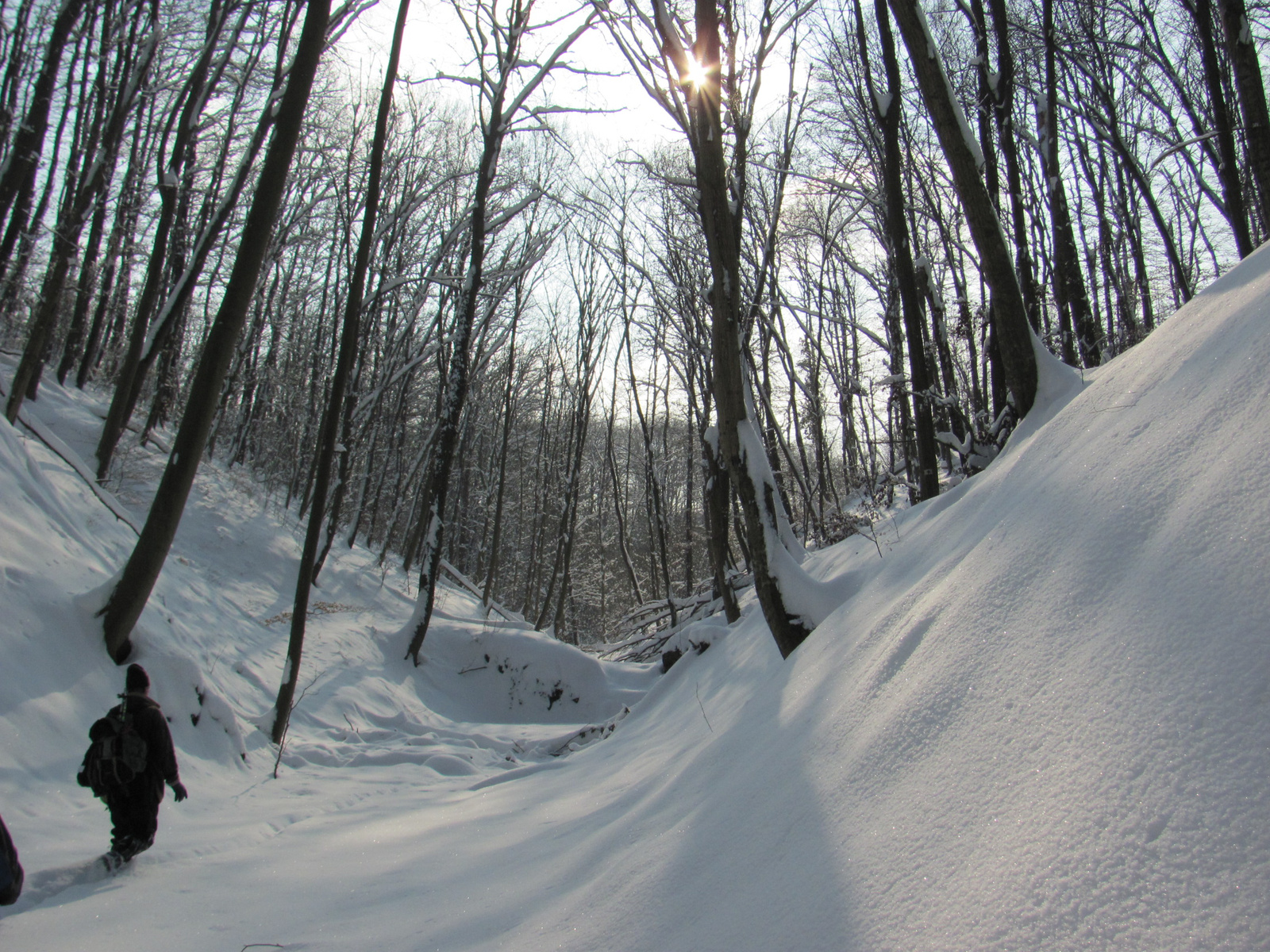 2012.02.05.Vékény-Hosszúhetény 061