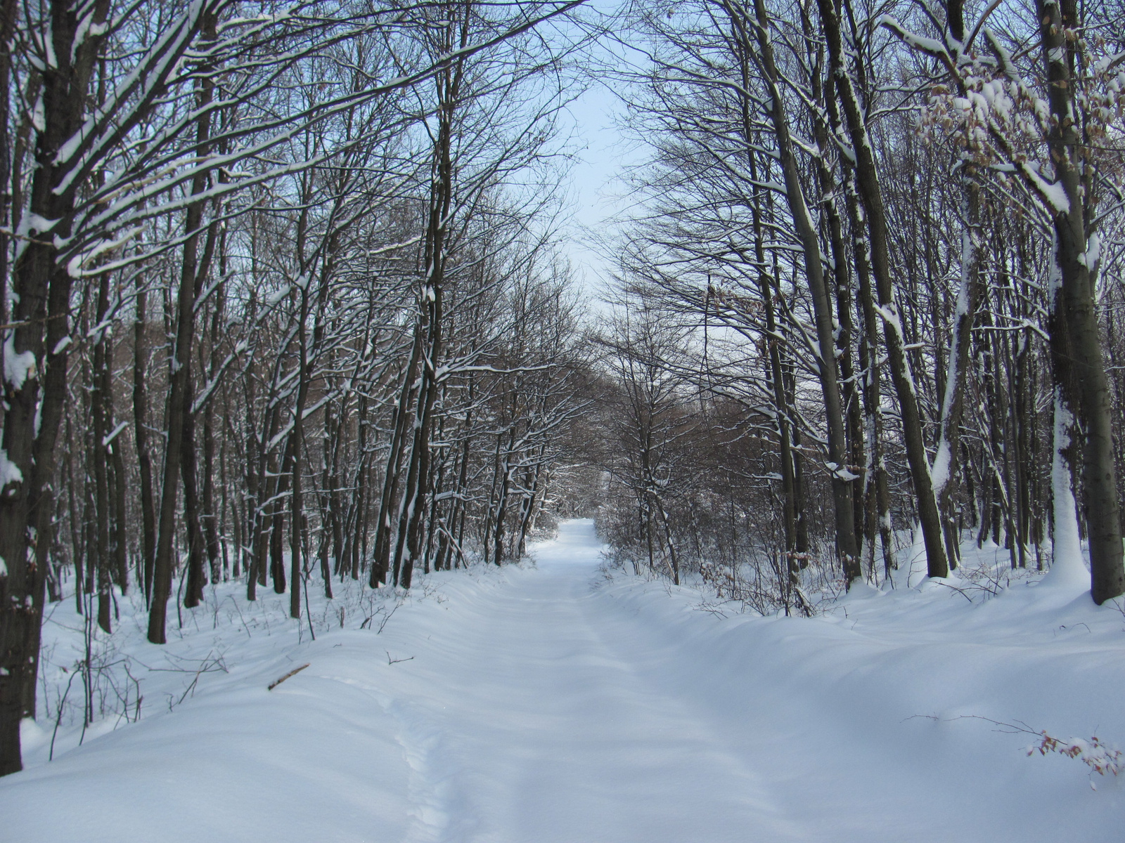 2012.02.05.Vékény-Hosszúhetény 080